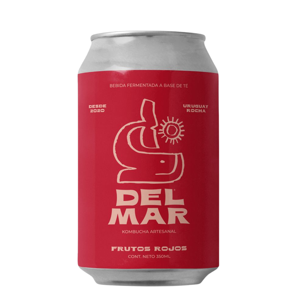 Pack Kombucha Frutos Rojos Lata 350ml