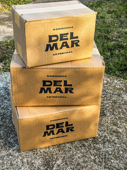 Pack x 30 Índico