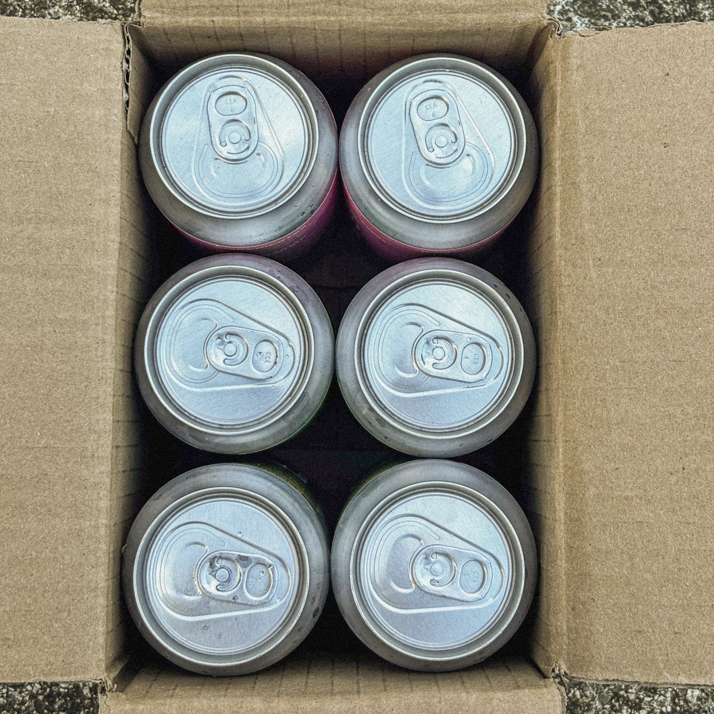 Pack x 6