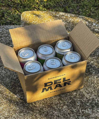 Pack x 6