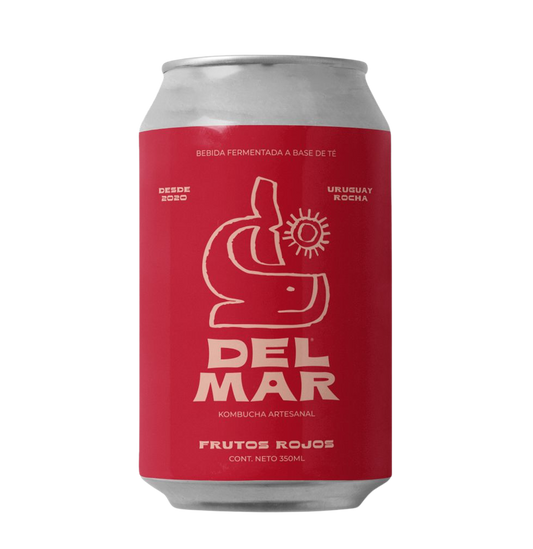 Pack Kombucha Frutos Rojos Lata 350ml